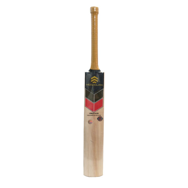 Cricket Bat Warrior Strike front