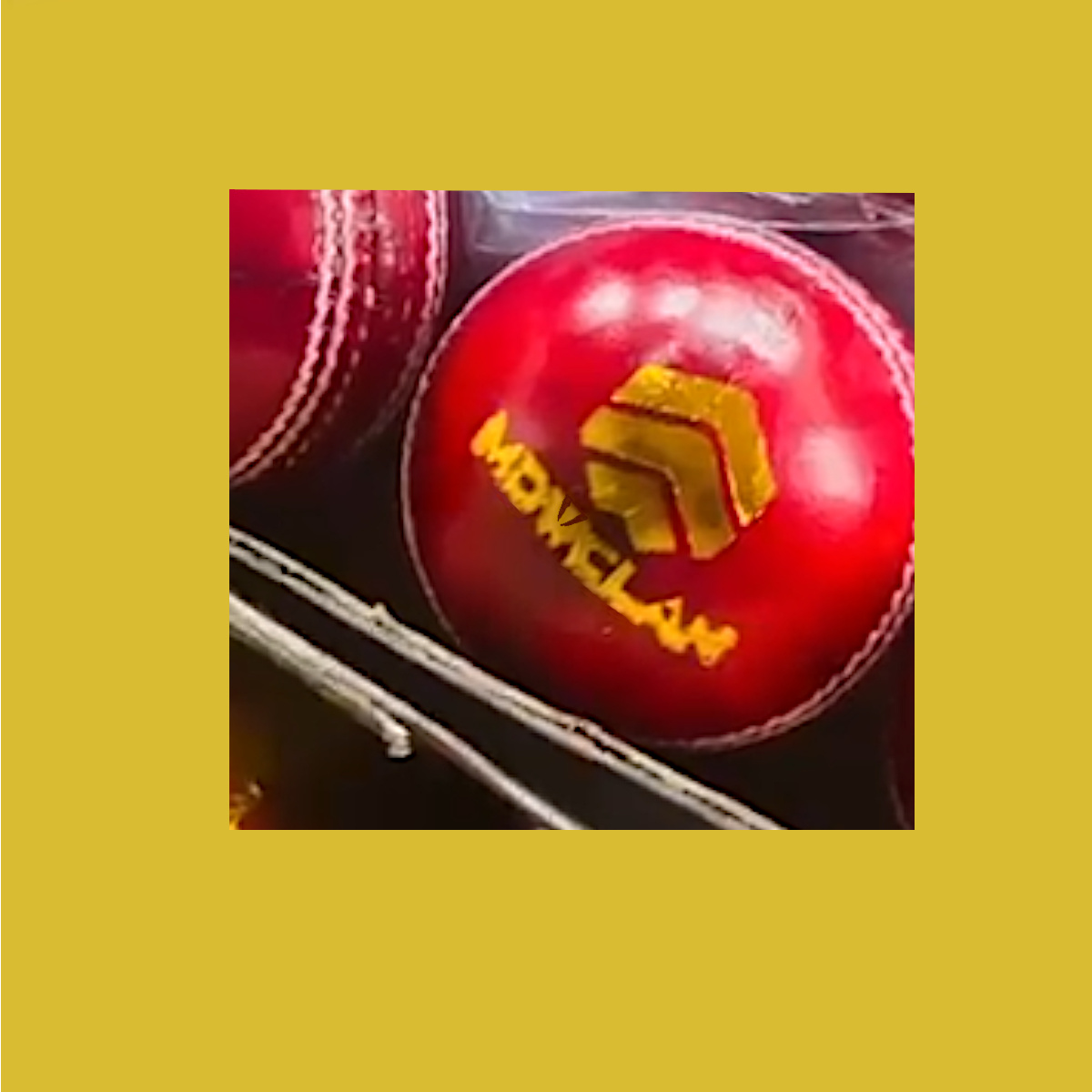 cricket leather ball - red